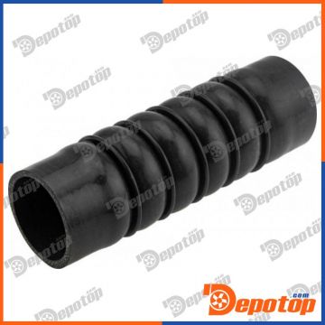 Gaine de suralimentation pour RENAULT | GPP-RE-020, 88561